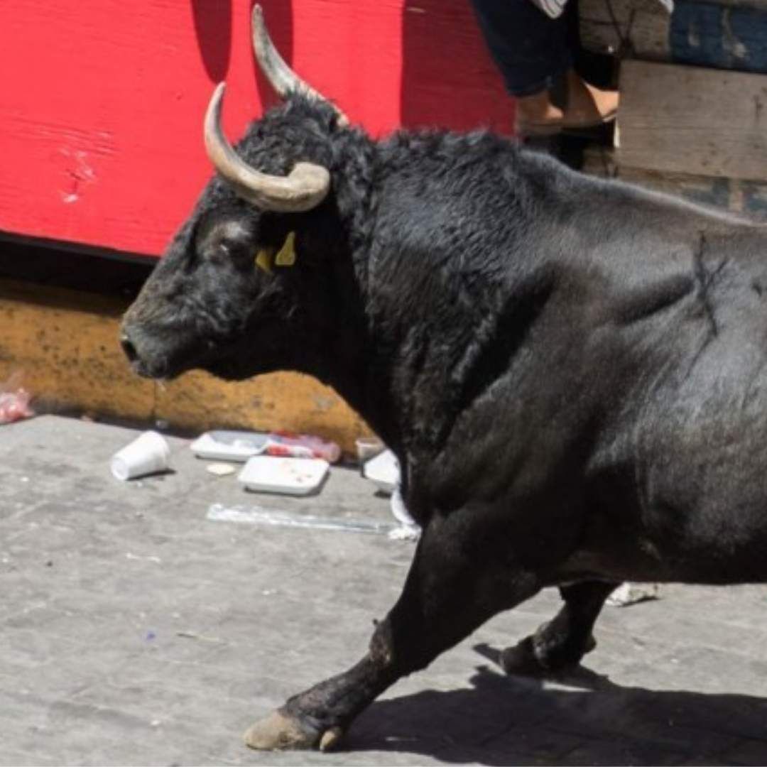 Diego, de 37 años, no sobrevivió